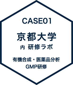 CASE01